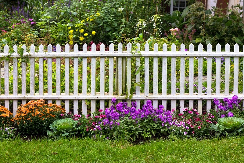 Repair vs Replace: is it time to replace your old damaged fence?